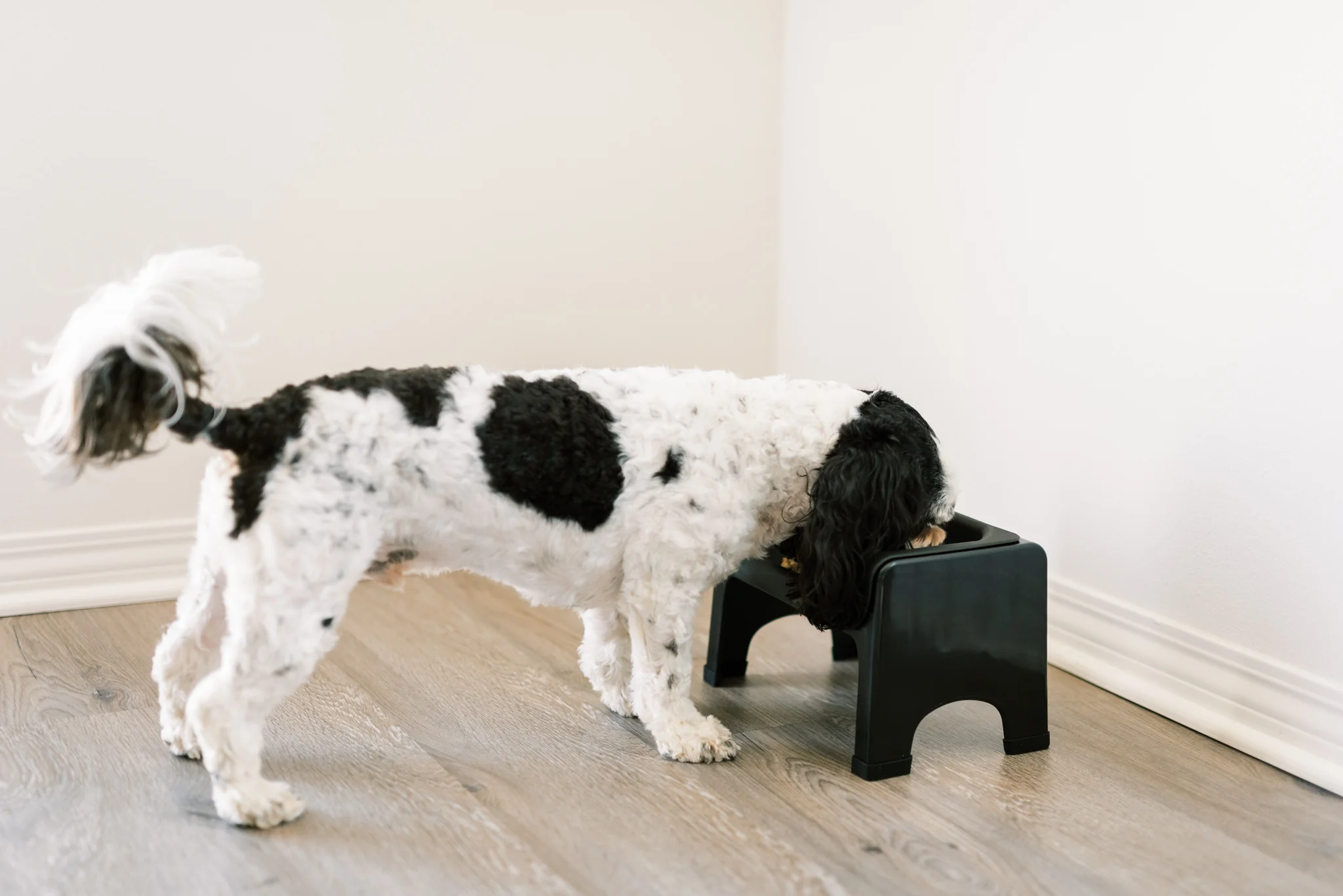 FluffTrough-KristenKrehbiel-BrandingCommercialPhotographer-4493_2