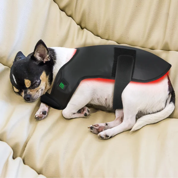Red Light Therapy Coat for Dog or Cat