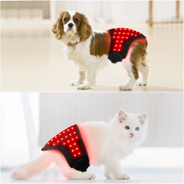 Red Light Therapy Belt for Dog or Cat