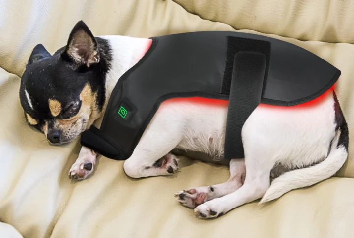 Red Light Therapy Coat for Dog or Cat